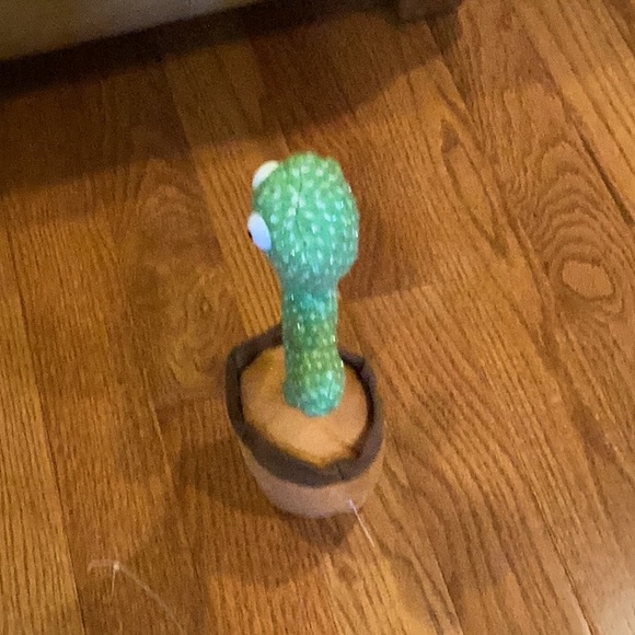 Cactus for kids. - Picture 7 of 14